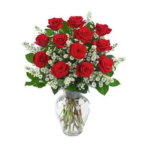 Envio y venta de flores ,rosas, plantas,arreglos florales ,regalos y desayunos a domicilio con delivery gratis en la Ciudad Autonoma de Buenos Aires y con costo de env�o en localidades del Gran Buenos Aires asi como delivery de flores y plantas a trav�s de florerias asociadas en todas las provincias de la Argentina, Buenos Aires, la Pampa, Tucuman, La Rioja, R�o Negro, Entre Rios, Corrientes, Misiones, Neuquen, Chubut, Tierra del Fuego, Santa Cruz, San Luis, Mendoza, Cordoba, Jujuy, Formosa, Santiago del Estero, Salta, Chaco, Catamarca ,San Juan, y ademas realizamos el delivery de flores ,coronas,palmas , plantas y regalos a todas las ciudades de Argentina, Mar del Plata, C�rdoba, Buenos Aires, con cargo en Santa Rosa, La Plata, Bella Vista, Neuquen, Pilar, Paran�, Posadas, Resistencia, Cipolleti y mas de 300 ciudades y localidades en todo el territorio de nuestro pa�s, asi como tambien tenemos la posibilidad de enviar flores a casi todo el mundo en cuestion de horas